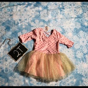 Dot Dot Smile Fancy pink dress 2T NWT